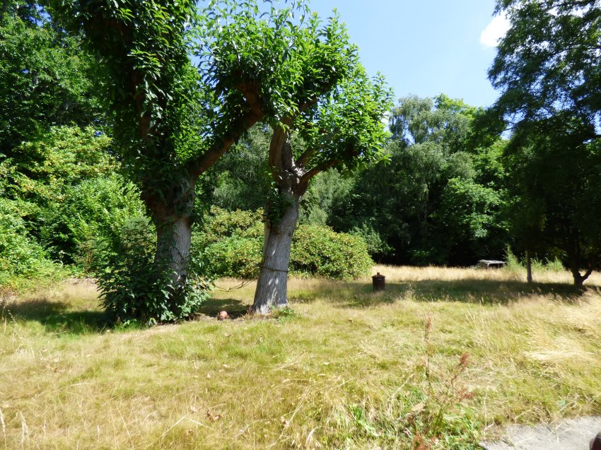 Danesfield Cottage